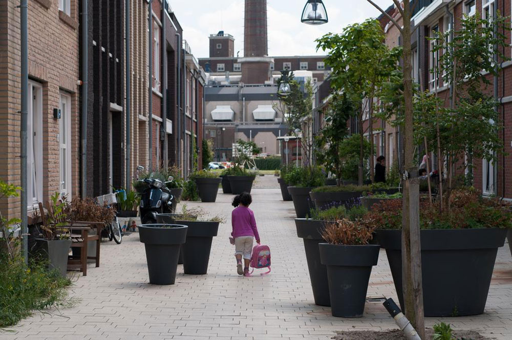 Nieuw Leyden, Leiden